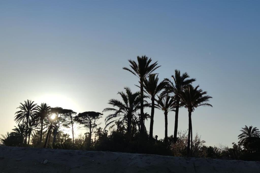 شقة Latido Del Puerto Sagunto المظهر الخارجي الصورة